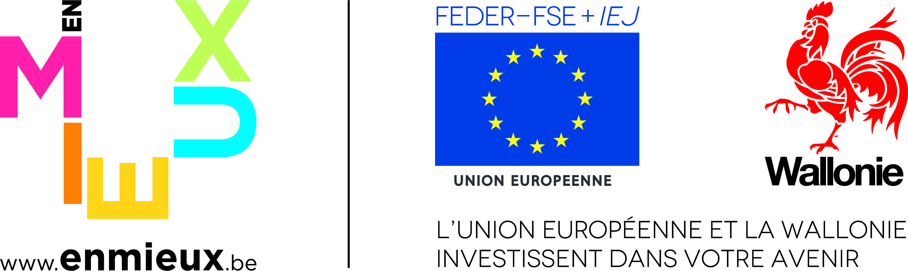 Logo FEDER - FSE