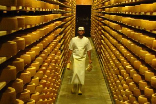 fromager au milieu de ses fromages.