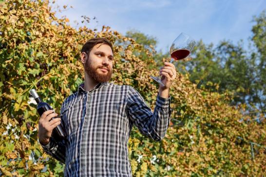 Vigneron dans ses vignes qui tient une bouteille et un verre de vin rouge