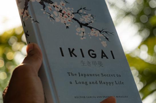 Ikigaï